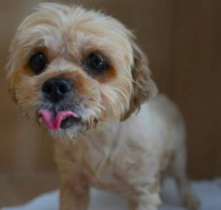 Photo of Mia