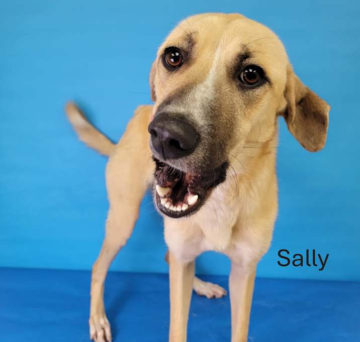Photo of Sally