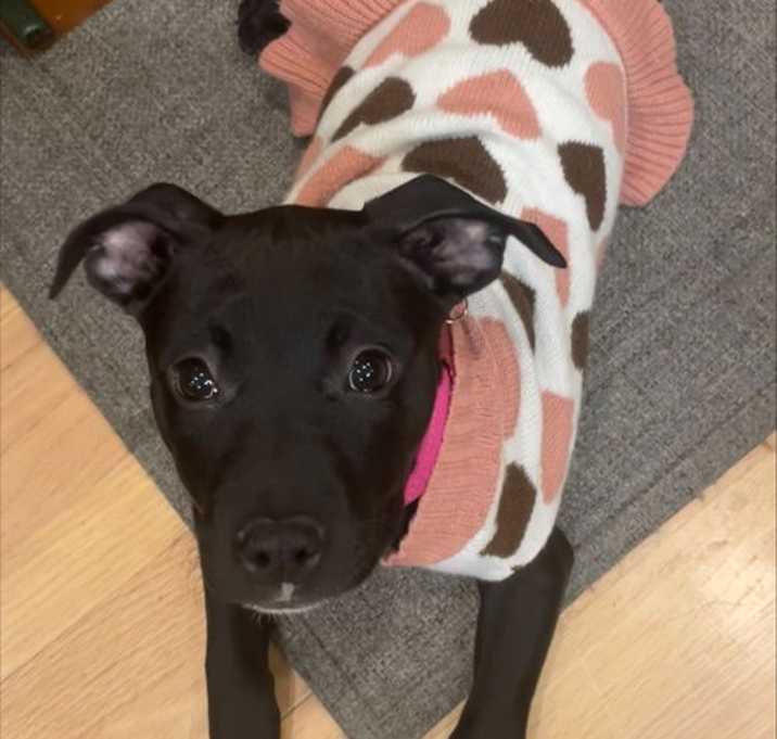 Photo of Tally