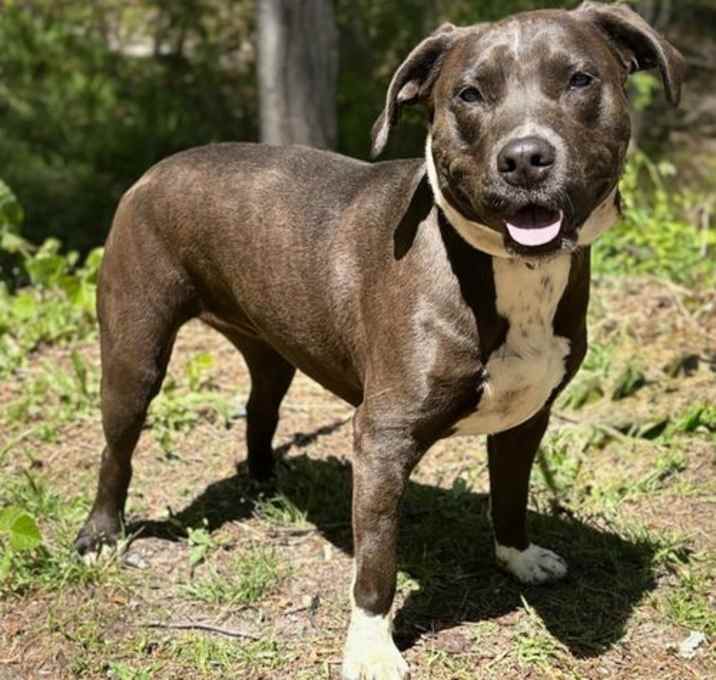 Photo of Abby