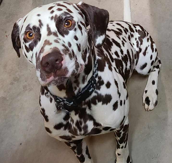 Photo of Otis-Murrieta, CA