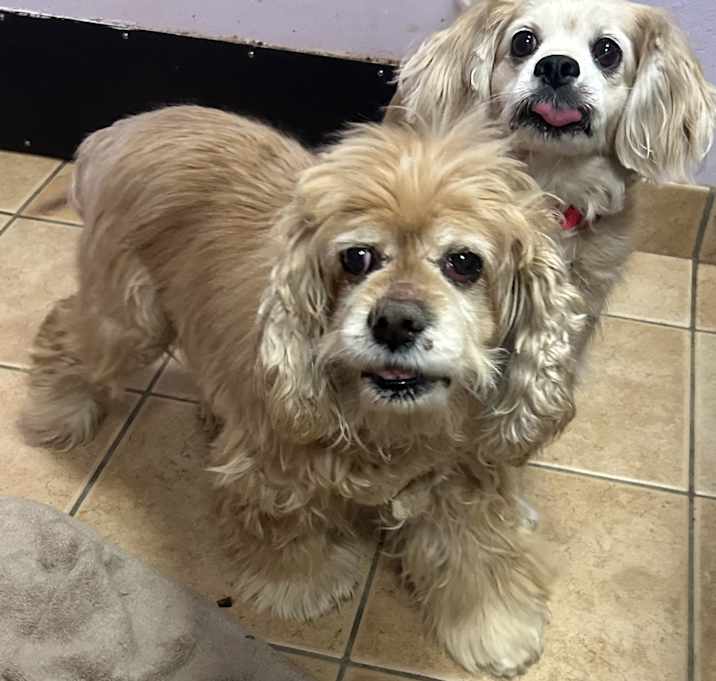 Photo of Suzy and Zuzu