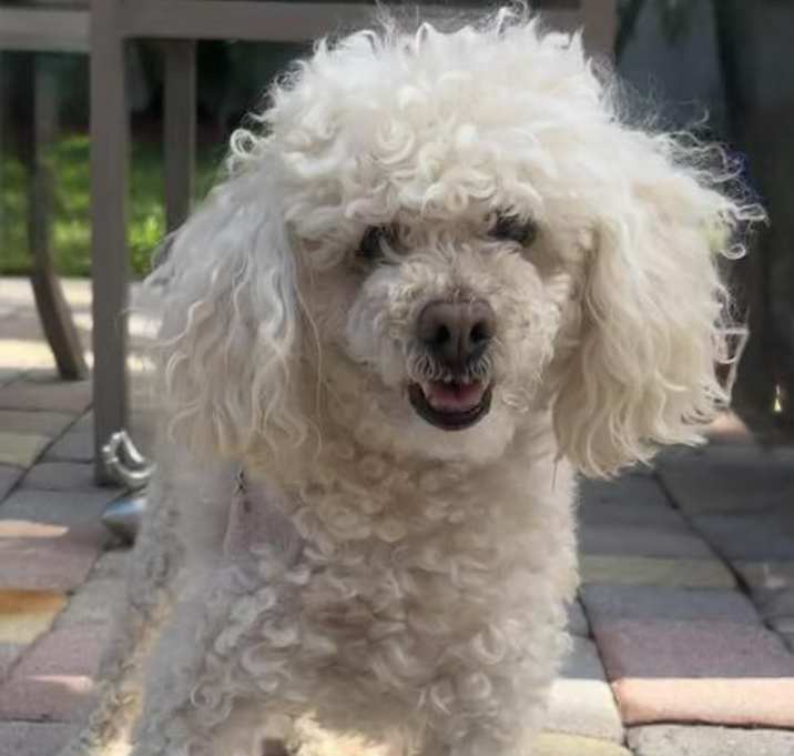 Photo of Benny