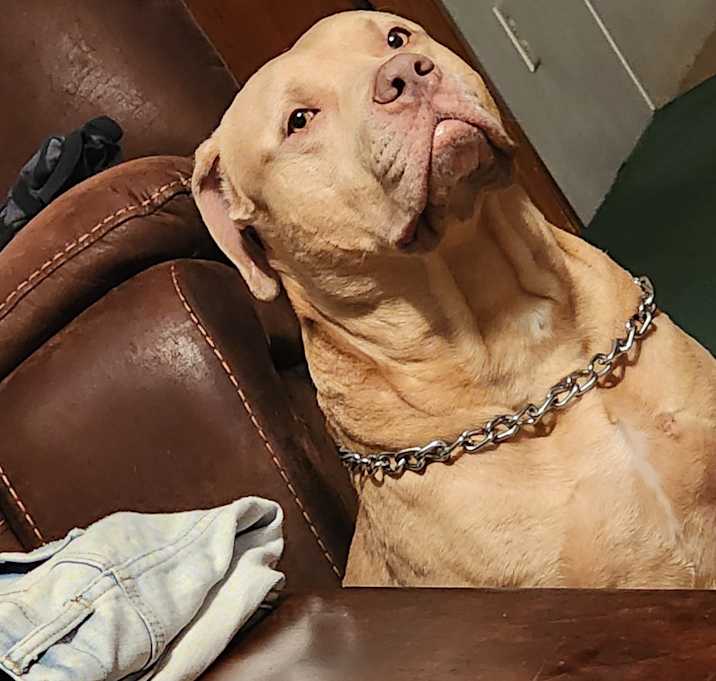 Photo of Kilo
