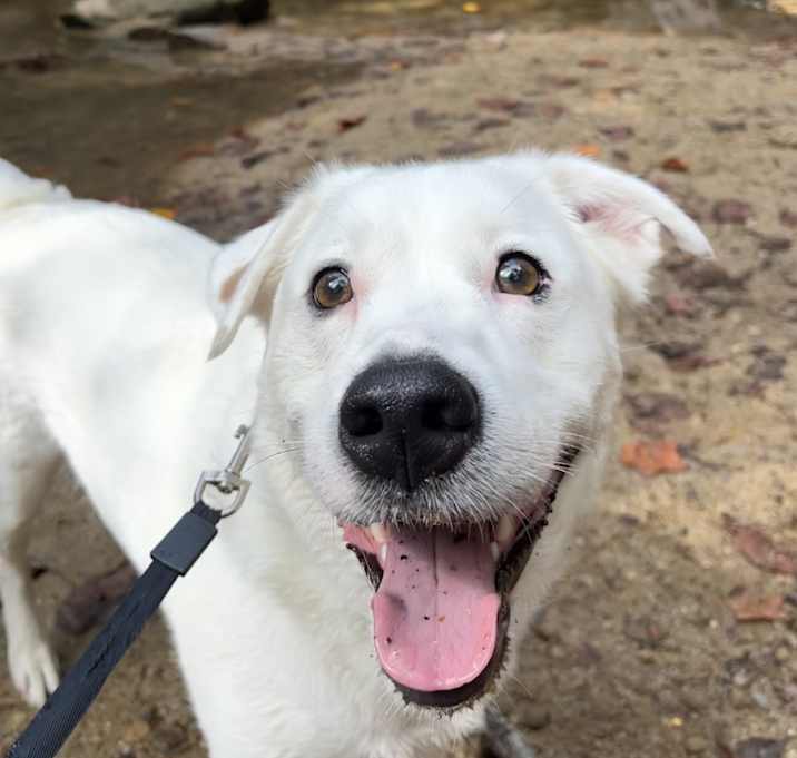 Photo of Winnie