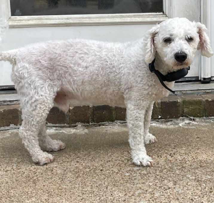 Photo of Morgan Bichon