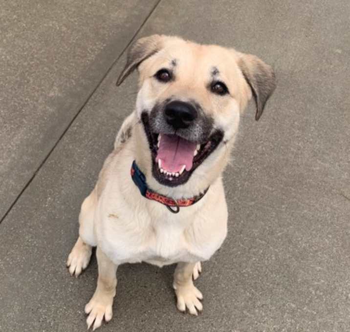 Photo of Coda