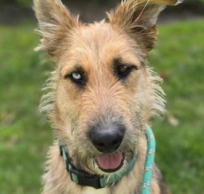 Photo of Mystic
