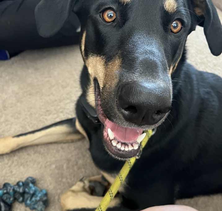 Photo of Daisy
