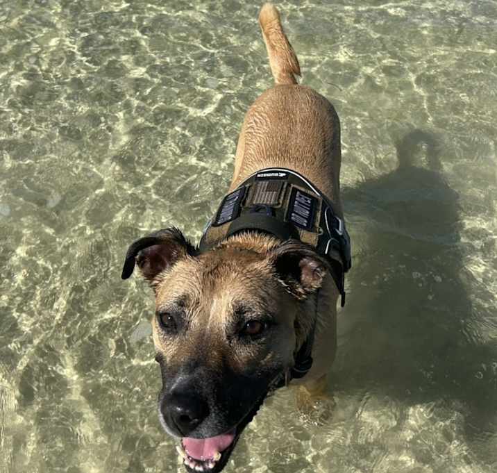 Photo of Hazel