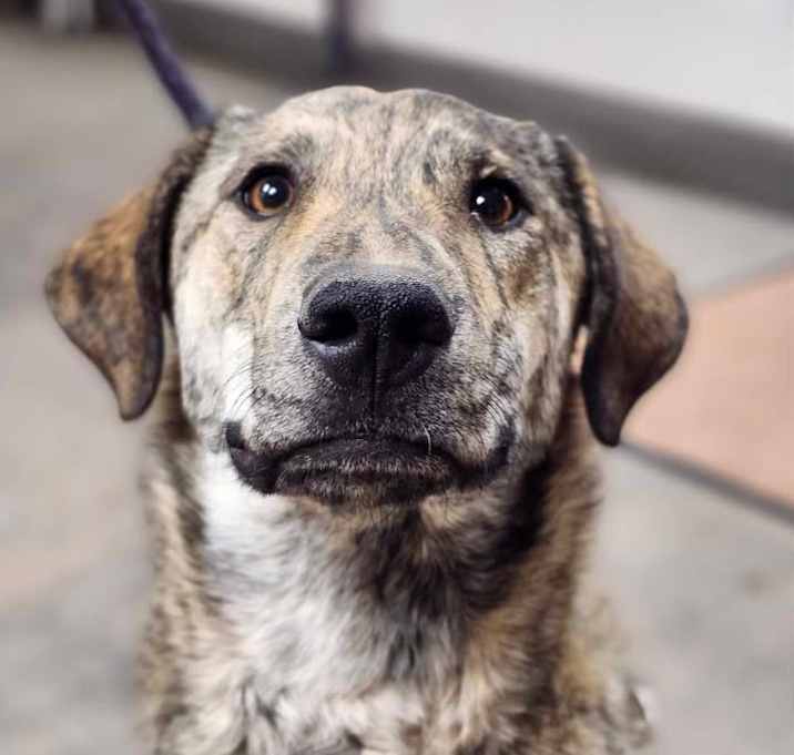 Photo of Winnie