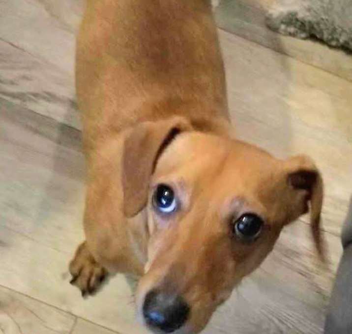 Photo of Hailey