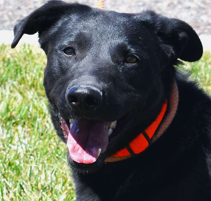 Photo of Jag