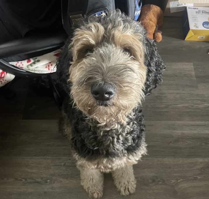 Photo of Hercules