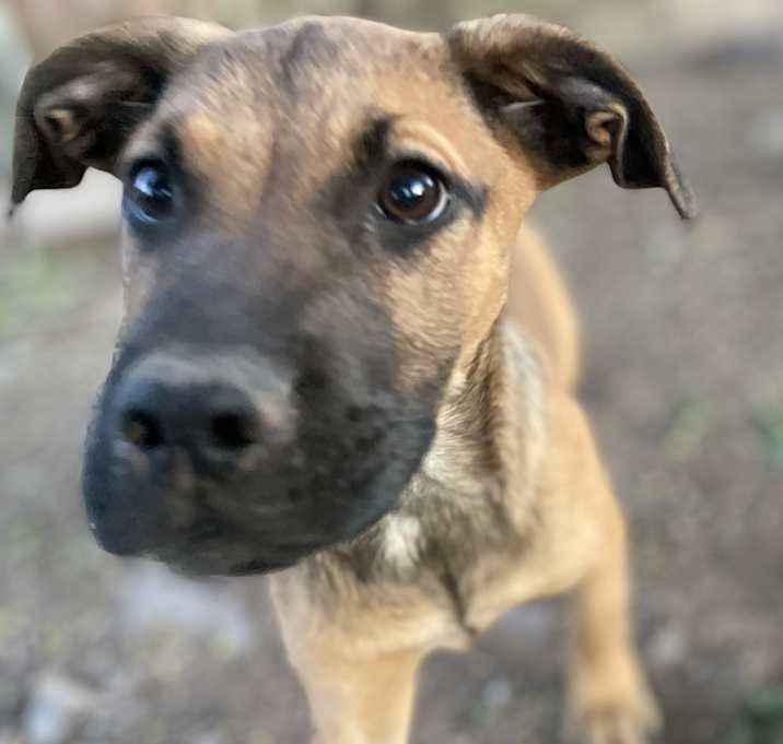 Photo of Chiqui