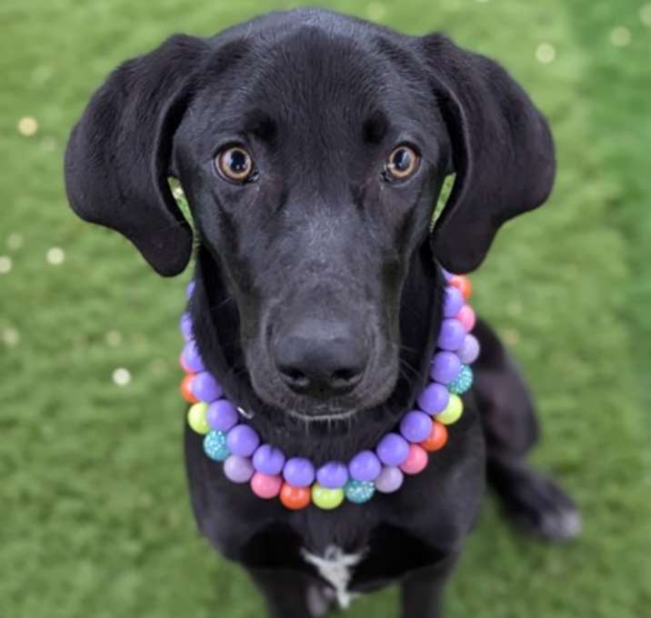 Photo of Harper