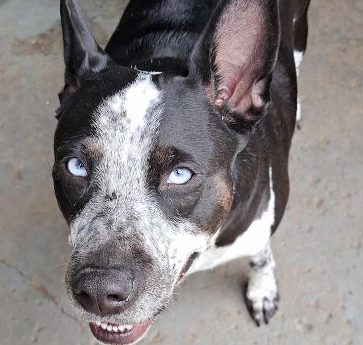 Photo of Octavia