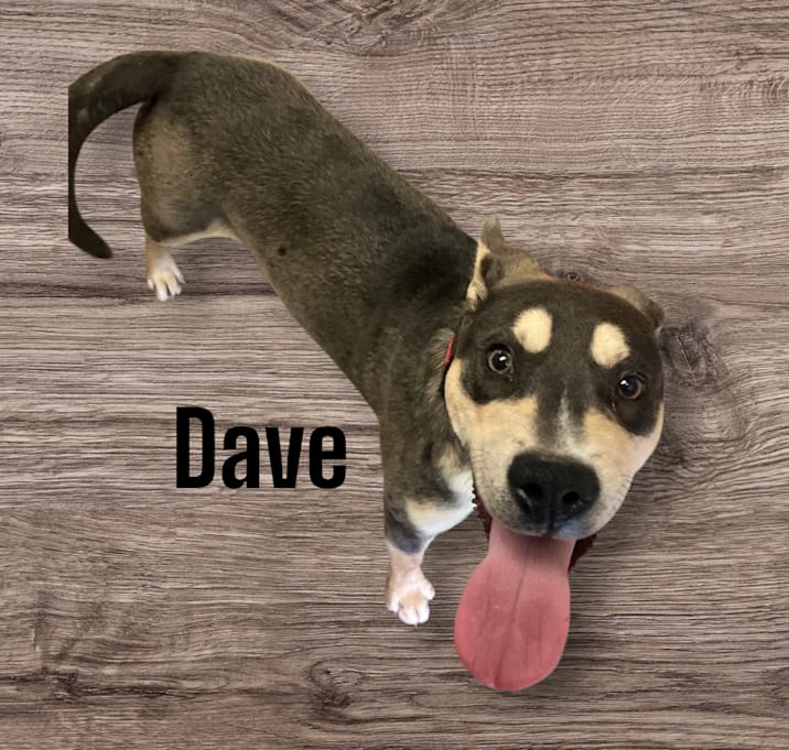 Photo of Dave
