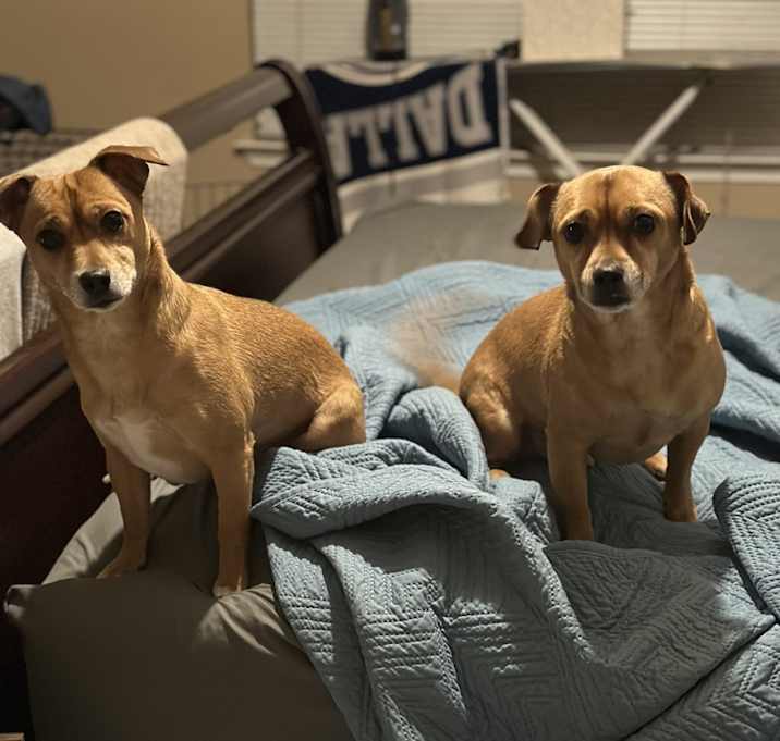 Photo of Chapo and Culcha