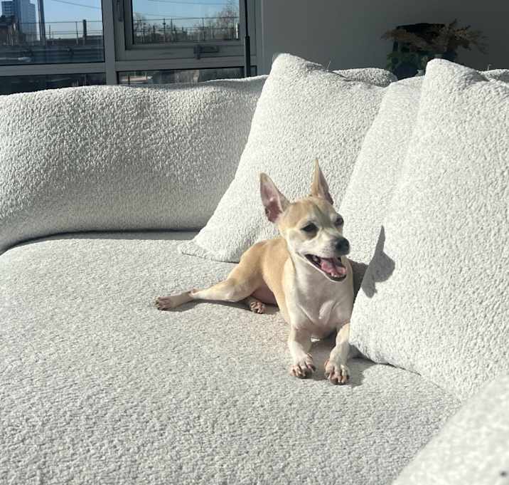 Photo of Max