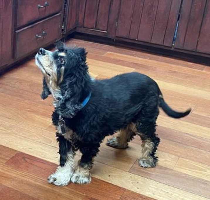 Photo of Molly