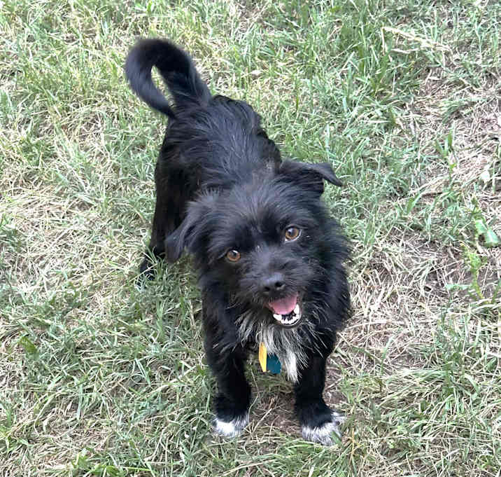 Photo of Cadbury