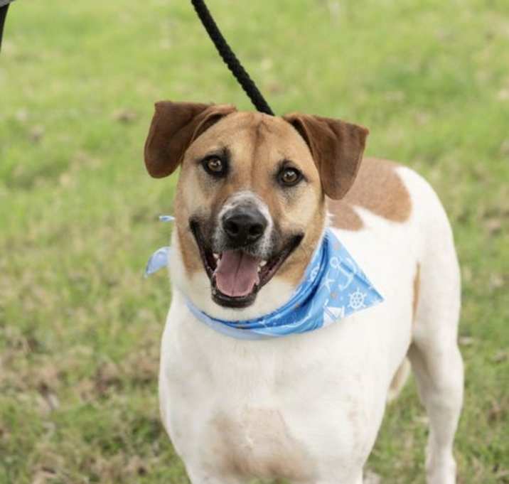 Photo of DUKE