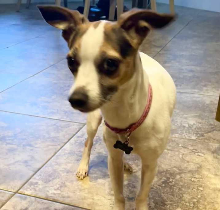 Photo of Bella