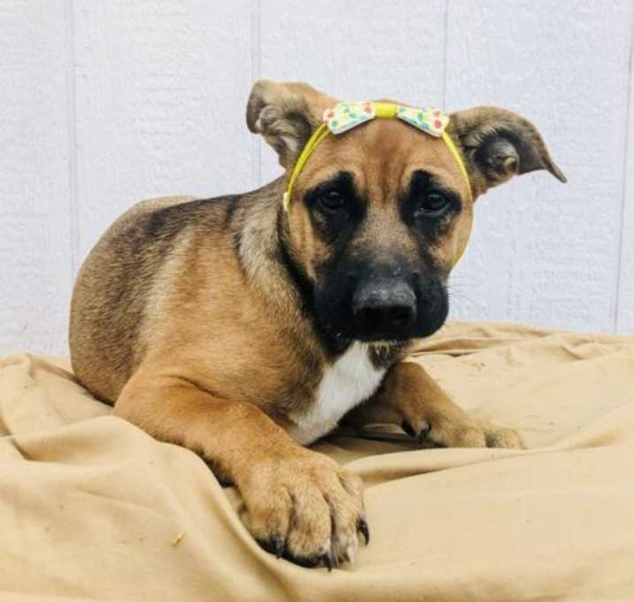 Photo of Zess