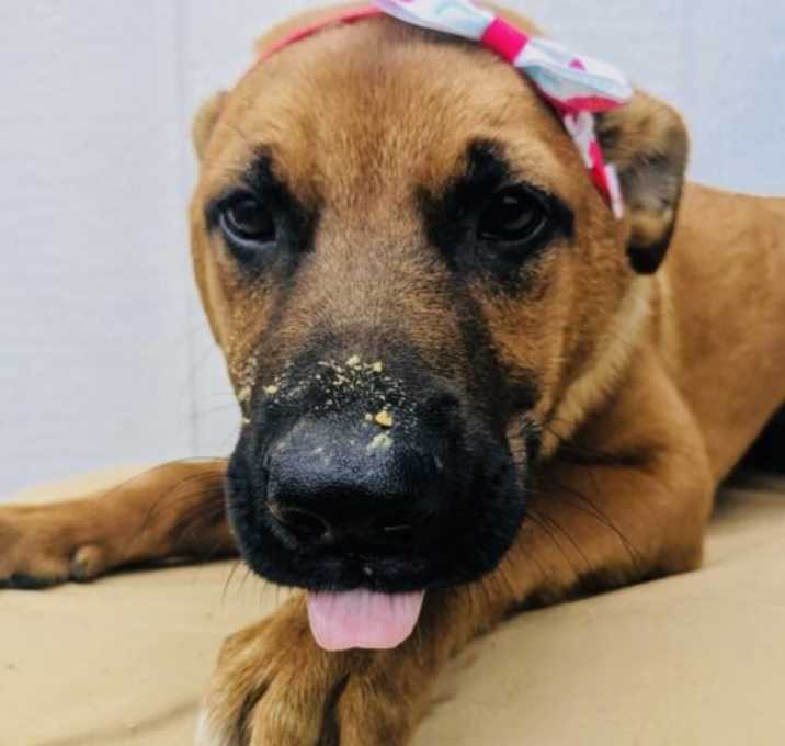 Photo of Zadee