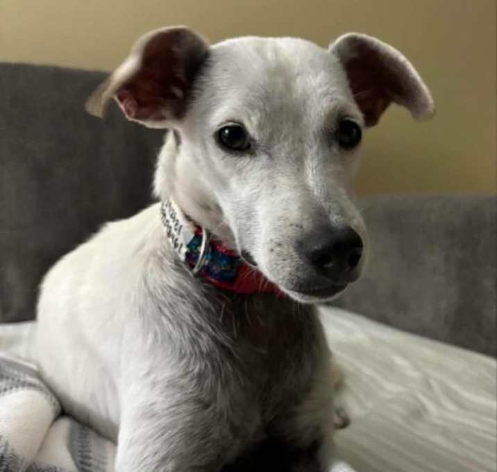 Photo of Lola