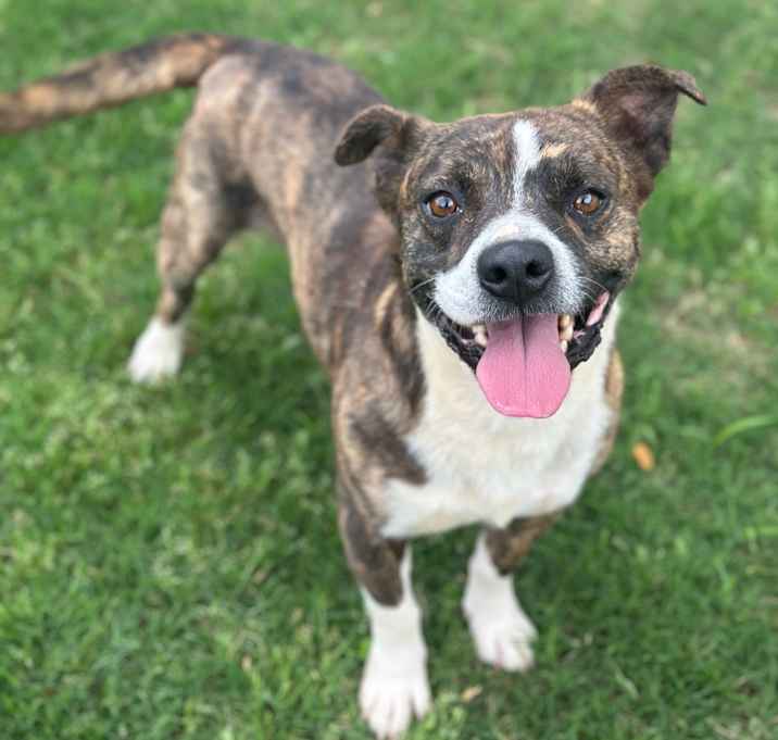Photo of Brody