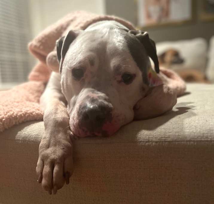 Photo of Bama