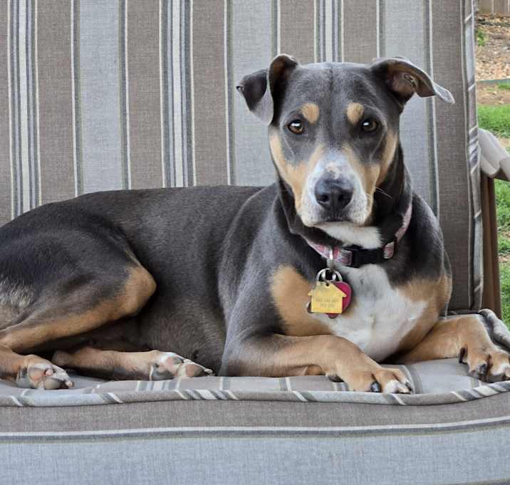 Photo of Stormy