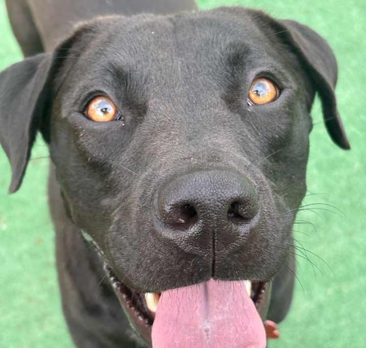 Photo of ZERO