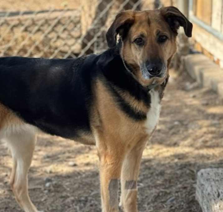 Photo of Kimber