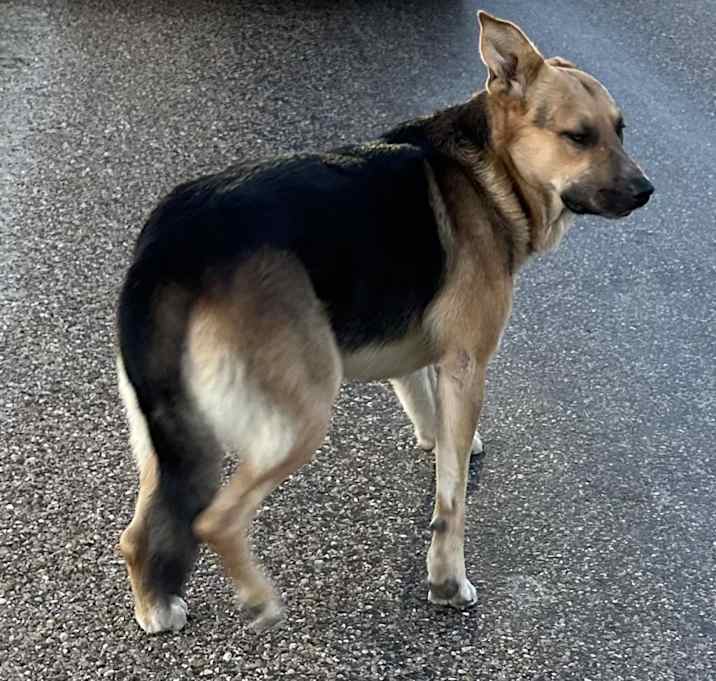 Photo of Aldean
