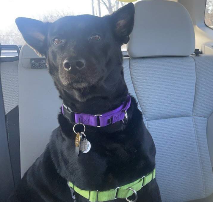 Photo of Echo