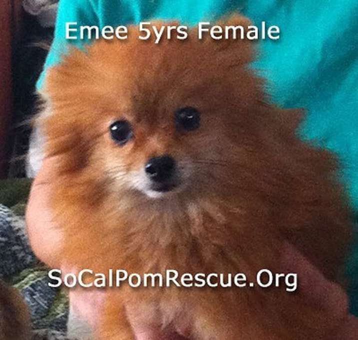 Photo of Emmi