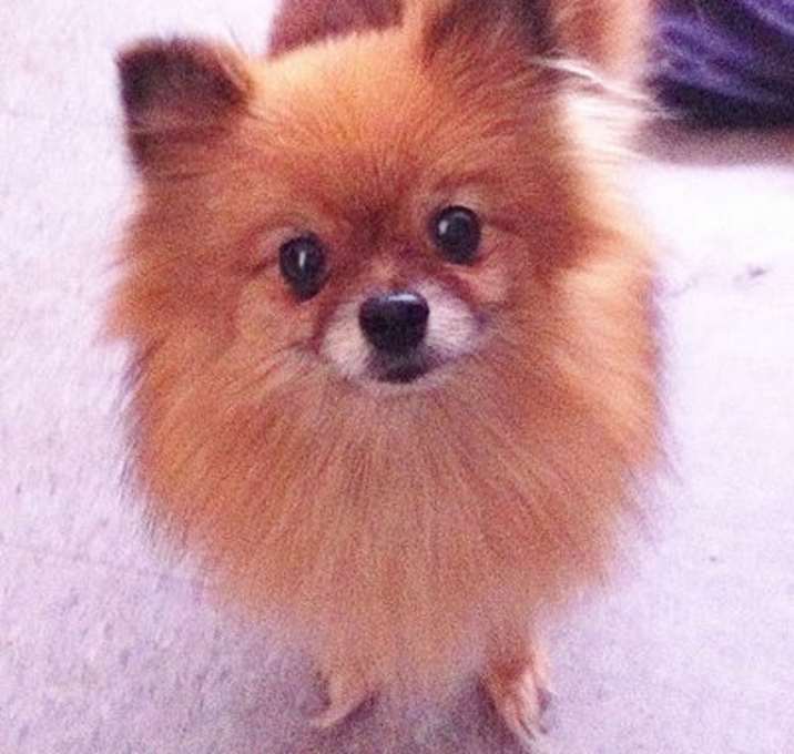 Photo of Bitty Bit
