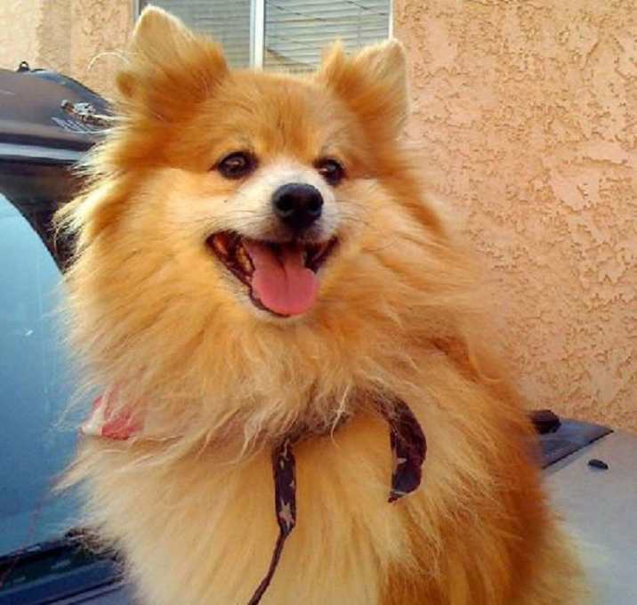 Photo of Bernie