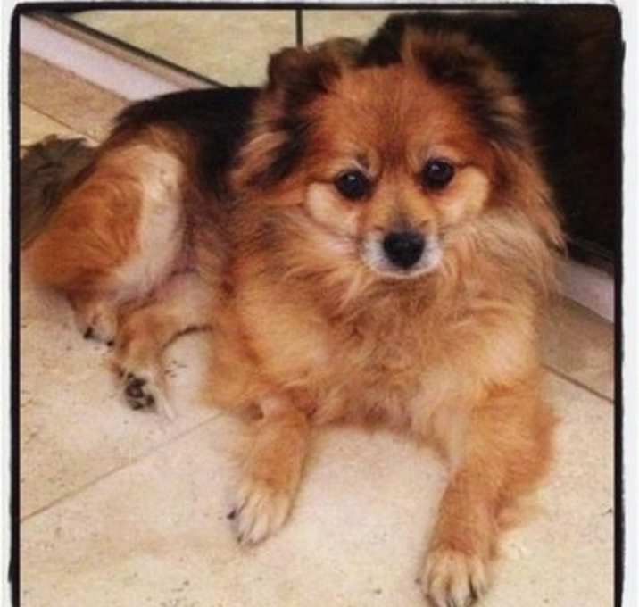 Photo of Tammie