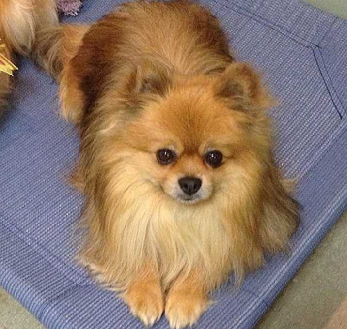 Photo of Charlie Bear