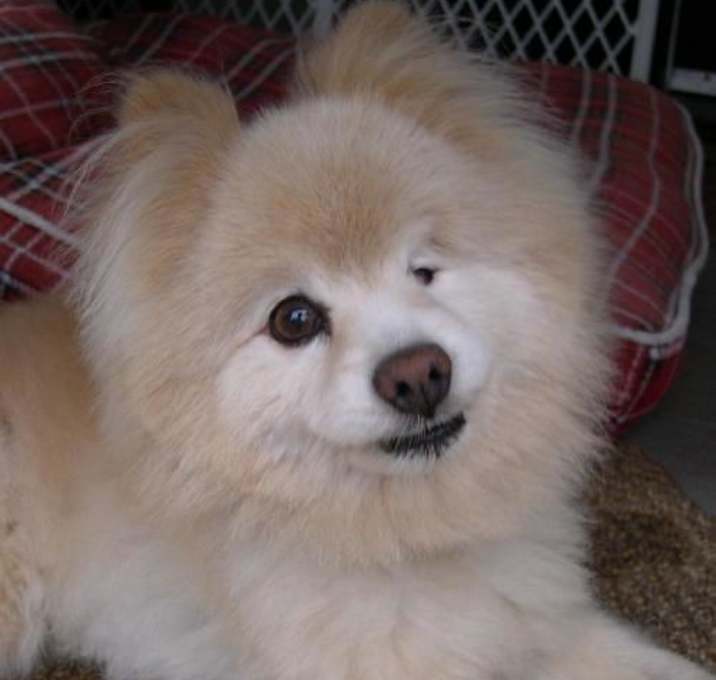 Photo of Jack
