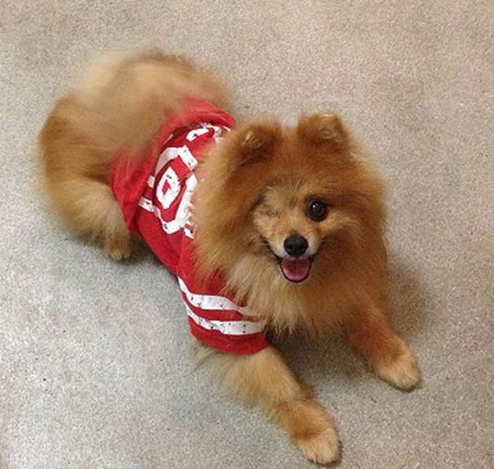 Photo of Winky