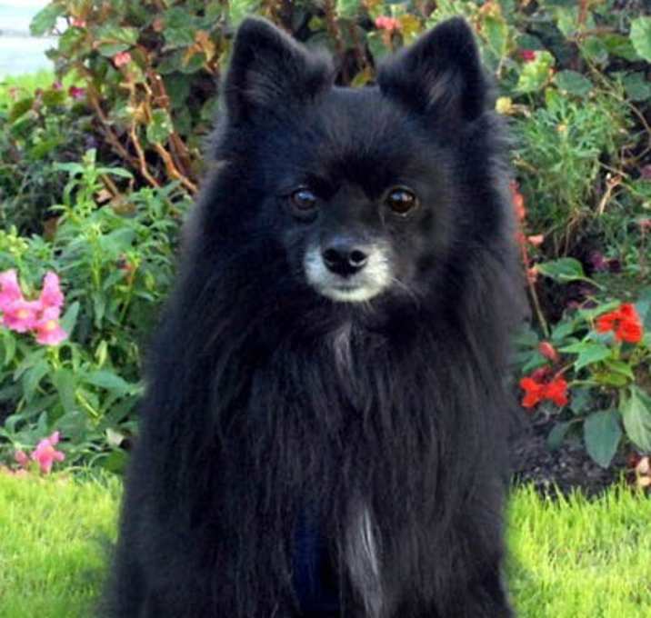 Photo of Puff Daddy