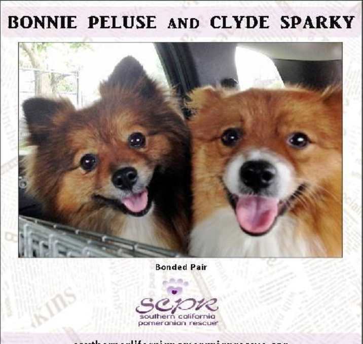Photo of Clyde and Bonnie