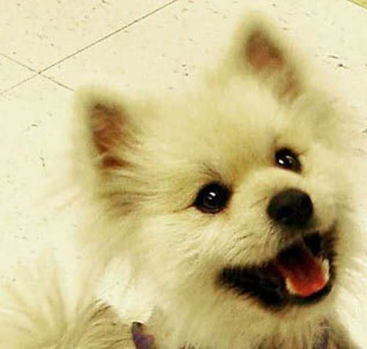 Photo of Foster
