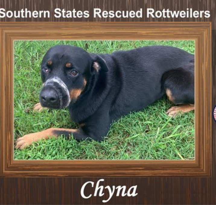 Photo of Chyna