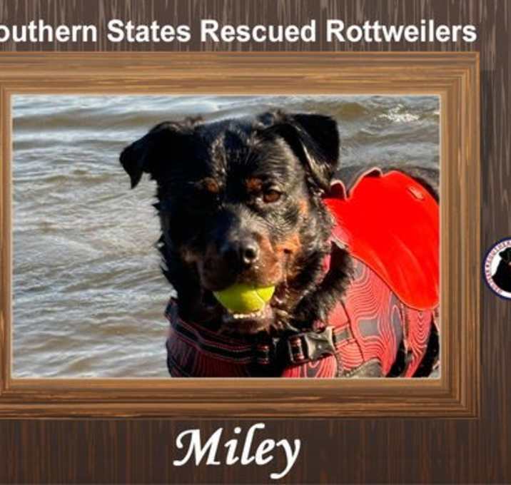 Photo of Miley